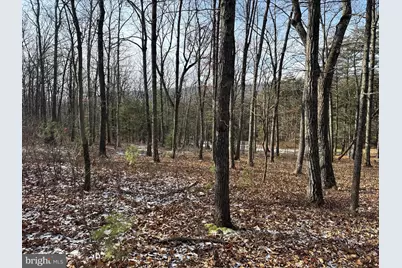 87+/- Acres Haven Ln, Warfordsburg, PA 17267 - Photo 129