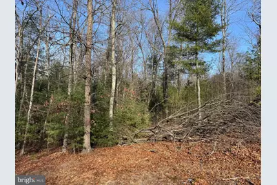 87+/- Acres Haven Ln, Warfordsburg, PA 17267 - Photo 75