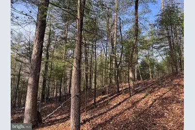 87+/- Acres Haven Ln, Warfordsburg, PA 17267 - Photo 79