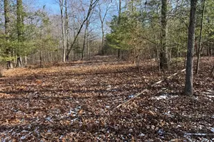 87+/- Acres Haven Ln, Warfordsburg, PA 17267 - Photo 93