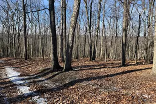 87+/- Acres Haven Ln, Warfordsburg, PA 17267 - Photo 29