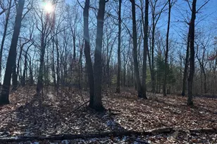 87+/- Acres Haven Ln, Warfordsburg, PA 17267 - Photo 27