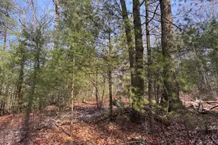 87+/- Acres Haven Ln, Warfordsburg, PA 17267 - Photo 81