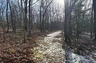 87+/- Acres Haven Ln, Warfordsburg, PA 17267 - Photo 131