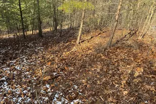 87+/- Acres Haven Ln, Warfordsburg, PA 17267 - Photo 105