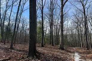 87+/- Acres Haven Ln, Warfordsburg, PA 17267 - Photo 31