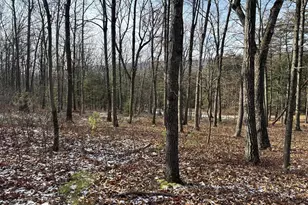 87+/- Acres Haven Ln, Warfordsburg, PA 17267 - Photo 129