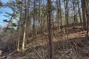 87+/- Acres Haven Ln, Warfordsburg, PA 17267 - Photo 91