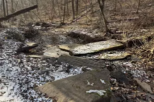 87+/- Acres Haven Ln, Warfordsburg, PA 17267 - Photo 89
