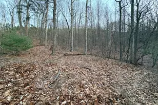 262 Jamie Rd, McConnellsburg, PA 17233 - Photo 5