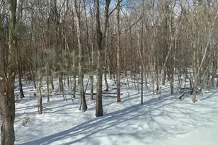 305 Cooper Ln, McConnellsburg, PA 17233 - Photo 33