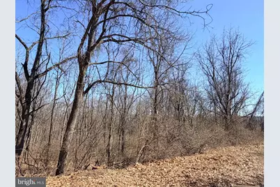 Quarry Hill Road 8.3 Ac, Hustontown, PA 17229 - Photo 3