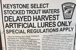 7081 Big Cove Tannery Rd, Big Cove Tannery, PA 17212 - Photo 31