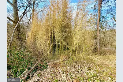 7081 Big Cove Tannery Road, Big Cove Tannery, PA 17212 - Photo 43