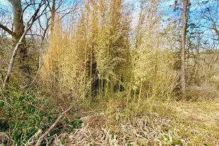 7081 Big Cove Tannery Rd, Big Cove Tannery, PA 17212 - Photo 43