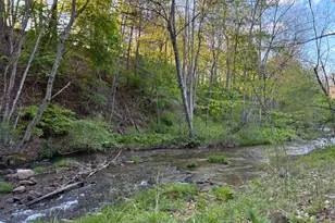 201 Hoover Rd, Waterfall, PA 16689 - Photo 59
