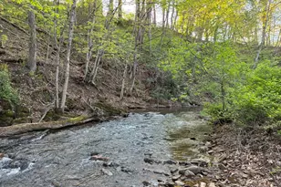 201 Hoover Rd, Waterfall, PA 16689 - Photo 55