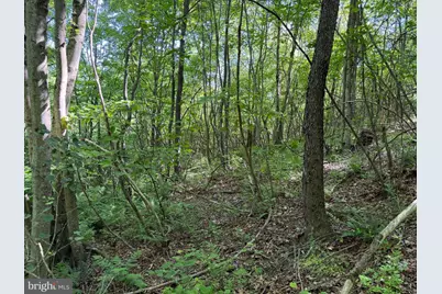 19.104+/- Acres McKees Gap Rd, Warfordsburg, PA 17267 - Photo 27