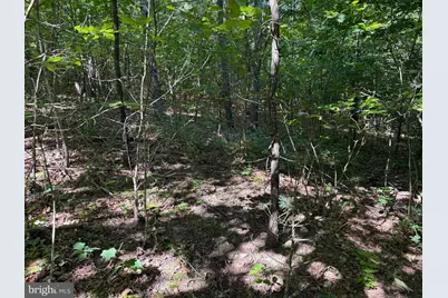 19.104+/- Acres McKees Gap Rd, Warfordsburg, PA 17267 - Photo 17