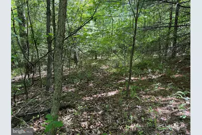 19.104+/- Acres McKees Gap Rd, Warfordsburg, PA 17267 - Photo 15