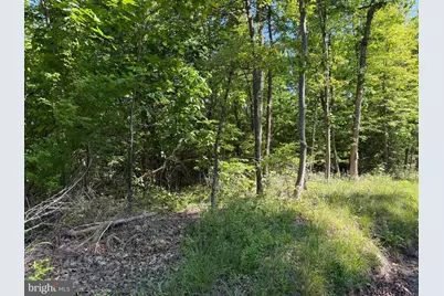 19.104+/- Acres McKees Gap Rd, Warfordsburg, PA 17267 - Photo 13