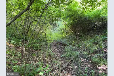 19.104+/- Acres McKees Gap Rd, Warfordsburg, PA 17267 - Photo 29