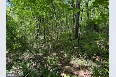 19.104+/- Acres McKees Gap Rd, Warfordsburg, PA 17267 - Photo 33