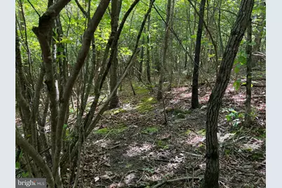 19.104+/- Acres McKees Gap Rd, Warfordsburg, PA 17267 - Photo 21