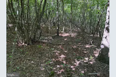 19.104+/- Acres McKees Gap Rd, Warfordsburg, PA 17267 - Photo 39