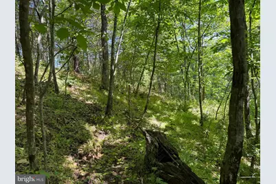 19.104+/- Acres McKees Gap Rd, Warfordsburg, PA 17267 - Photo 31