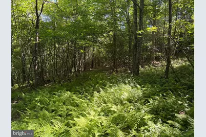 19.104+/- Acres McKees Gap Rd, Warfordsburg, PA 17267 - Photo 25