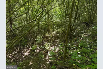 19.104+/- Acres McKees Gap Rd, Warfordsburg, PA 17267 - Photo 35