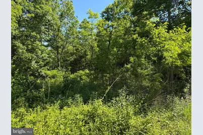 19.104+/- Acres McKees Gap Rd, Warfordsburg, PA 17267 - Photo 47