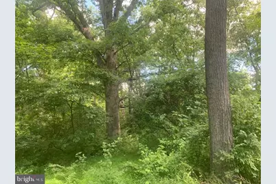 5353 Cito Road, McConnellsburg, PA 17233 - Photo 11