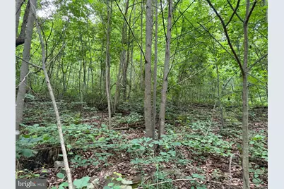 Tract 1: 38.83/- Acres At 952 Fischer Rd, Warfordsburg, PA 17267 - Photo 13