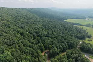 Tract 1: 38 83/- Acres At 952 Fischer Rd, Warfordsburg, PA 17267 - Photo 1