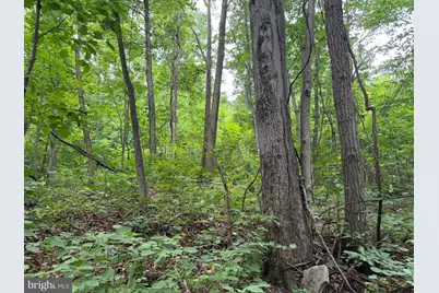 Tract 1: 38.83/- Acres At 952 Fischer Rd, Warfordsburg, PA 17267 - Photo 15