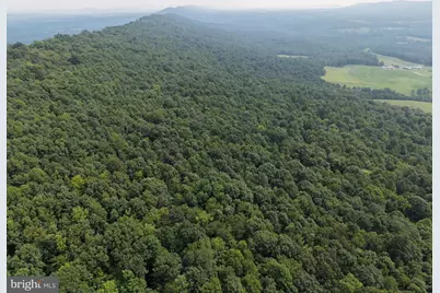 Tract 1: 38.83/- Acres At 952 Fischer Rd, Warfordsburg, PA 17267 - Photo 9