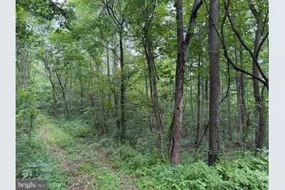 Tract 1: 38.83/- Acres At 952 Fischer Rd, Warfordsburg, PA 17267 - Photo 23