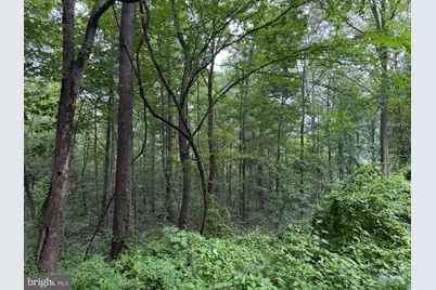 Tract 1: 38.83/- Acres At 952 Fischer Rd, Warfordsburg, PA 17267 - Photo 25