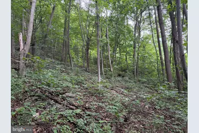 Tract 2: 30.99+/- Acres At 872 Fischer Rd, Warfordsburg, PA 17267 - Photo 11