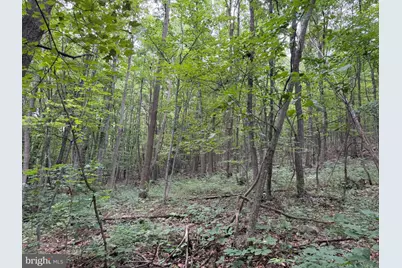 Tract 2: 30.99+/- Acres At 872 Fischer Rd, Warfordsburg, PA 17267 - Photo 27