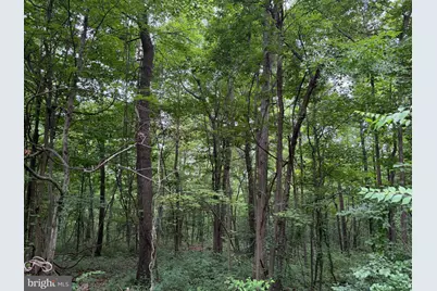 Tract 2: 30.99+/- Acres At 872 Fischer Rd, Warfordsburg, PA 17267 - Photo 29