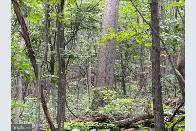 Tract 2: 30.99+/- Acres At 872 Fischer Rd, Warfordsburg, PA 17267 - Photo 25