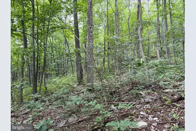 Tract 2: 30.99+/- Acres At 872 Fischer Rd, Warfordsburg, PA 17267 - Photo 9