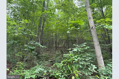 Tract 2: 30.99+/- Acres At 872 Fischer Rd, Warfordsburg, PA 17267 - Photo 21