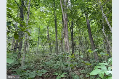 Tract 2: 30.99+/- Acres At 872 Fischer Rd, Warfordsburg, PA 17267 - Photo 17