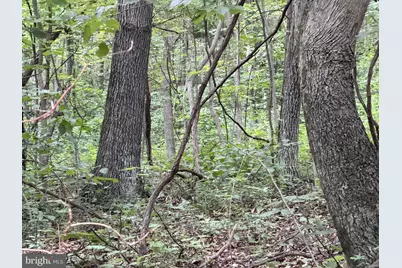 Tract 2: 30.99+/- Acres At 872 Fischer Rd, Warfordsburg, PA 17267 - Photo 15