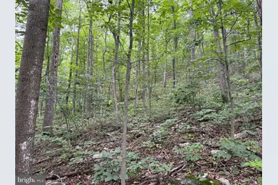 Tract 2: 30.99+/- Acres At 872 Fischer Rd, Warfordsburg, PA 17267 - Photo 7