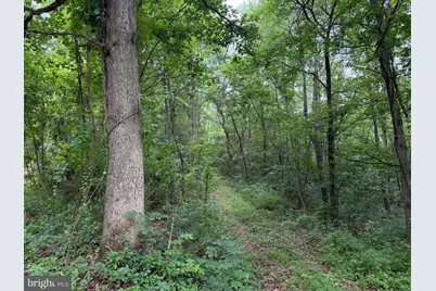 Tract 2: 30.99+/- Acres At 872 Fischer Rd, Warfordsburg, PA 17267 - Photo 31